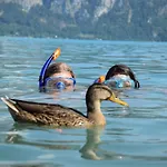 洛茵德尔公寓酒店 *