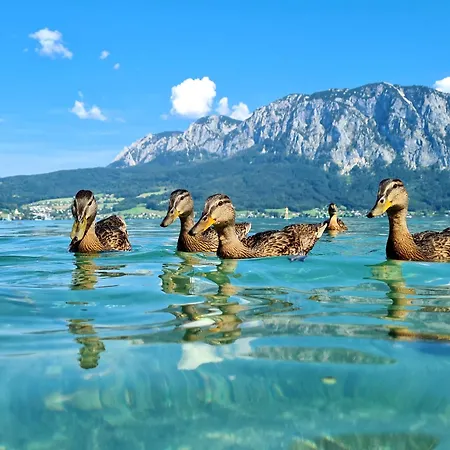 Loindl Unterach am Attersee