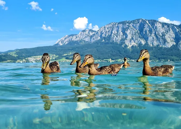 Loindl Unterach am Attersee