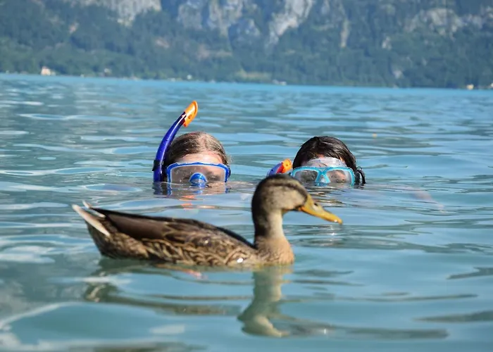 洛茵德尔公寓酒店 *